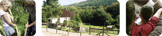 Heilpädagogische Gruppe St. Martin in Herdecke